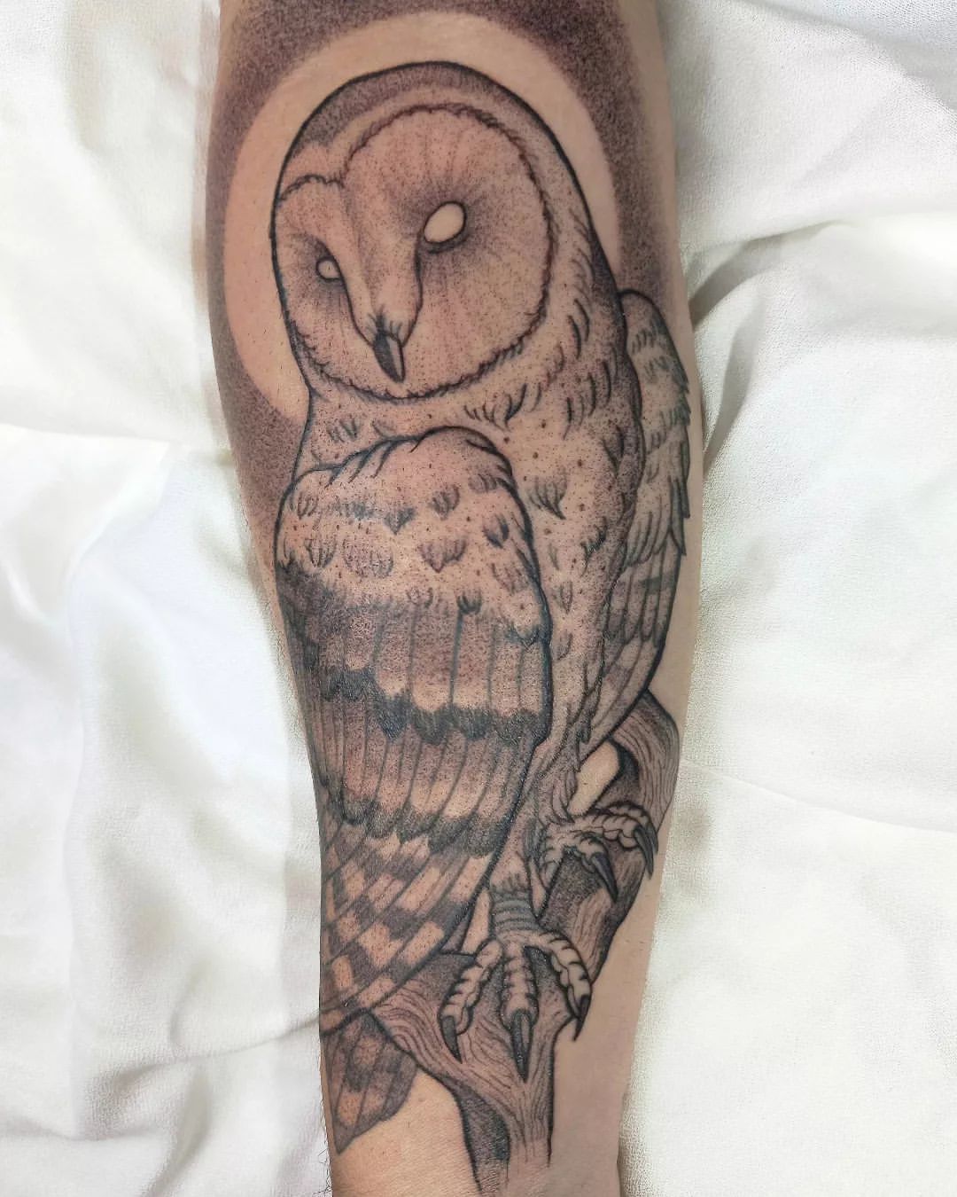 Whimsical Barn Owl Design