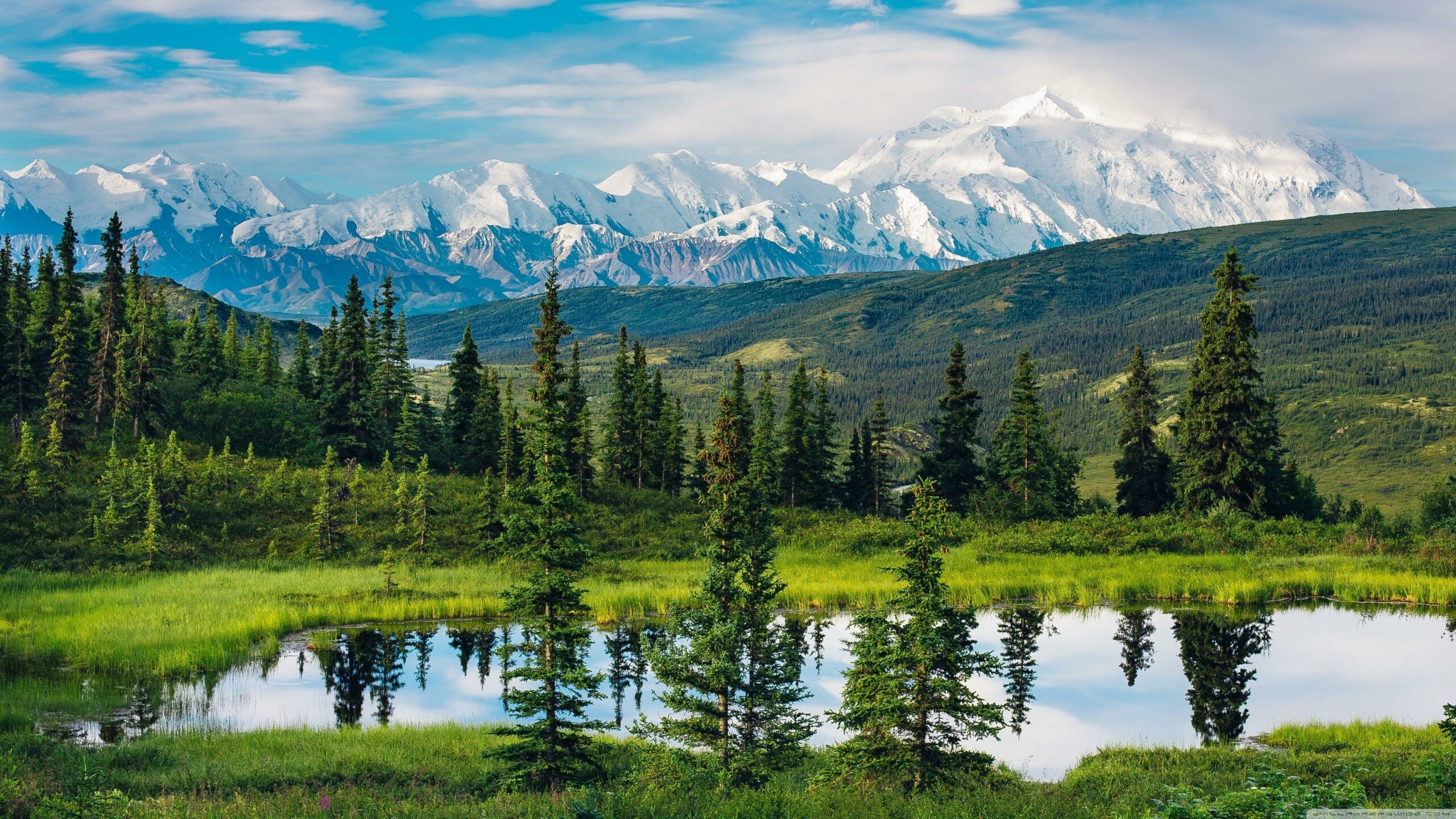 Alaska landscape with a Bald eagle tattoo