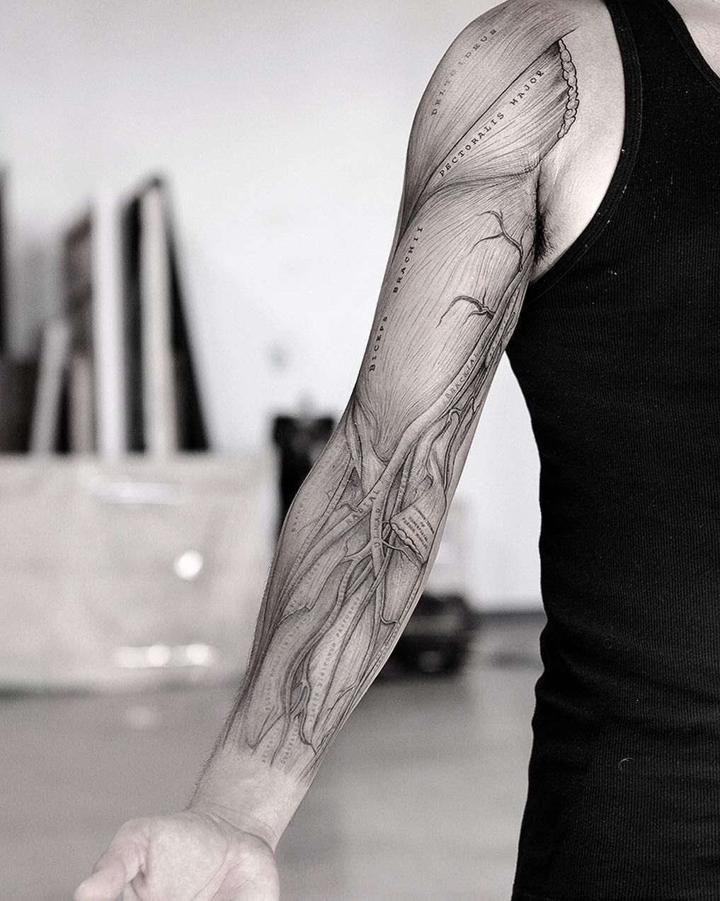 Vintage Anatomy tattoo sleeve