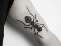 Ant-Tattoo-10
