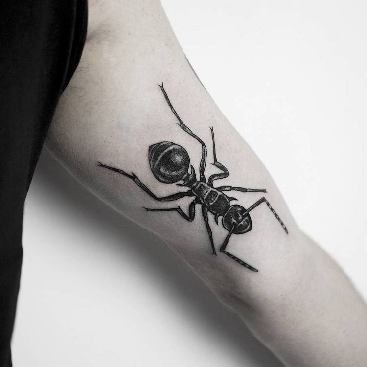 Ant Tattoo Idea 2