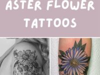 Aster