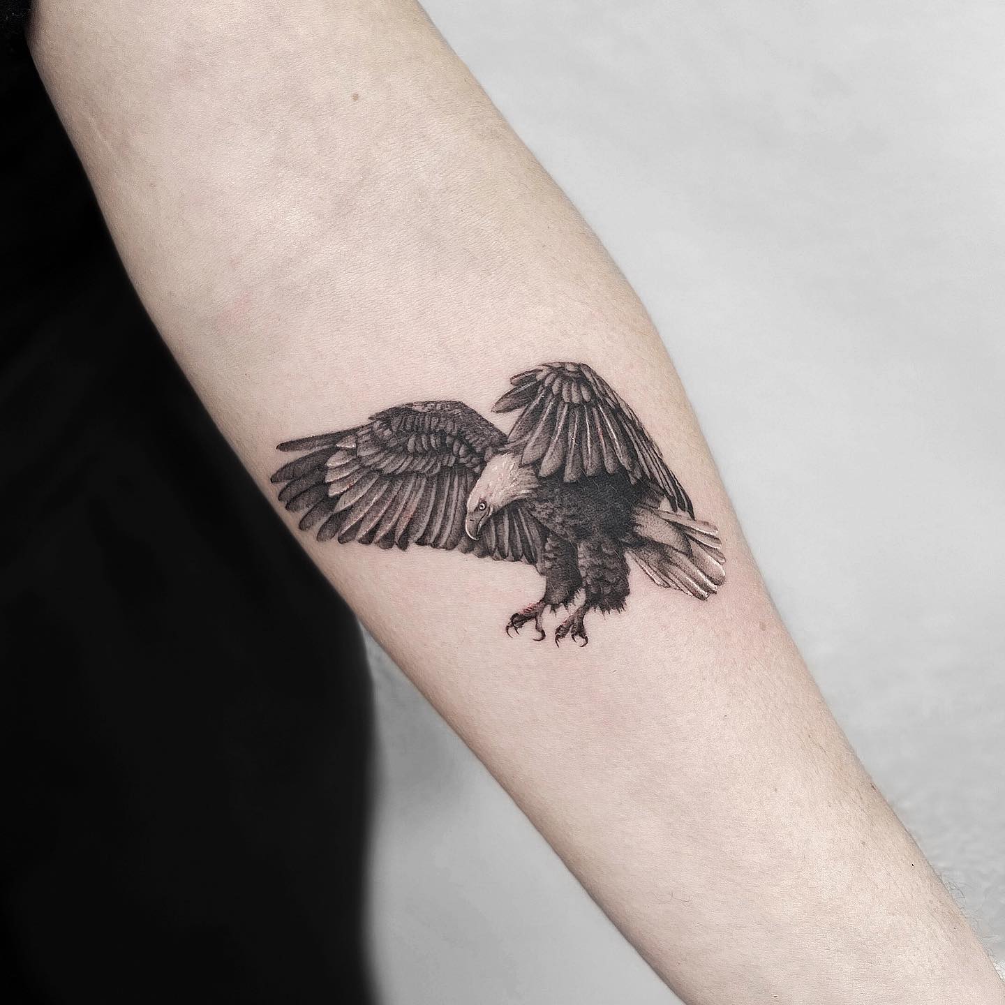 American Traditional Eagle Tattoo