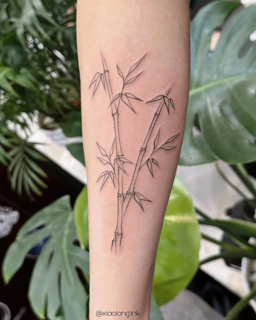 Bamboo Tattoo Concepts