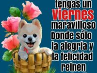 Buenos-Dias-Feliz-Viernes-tarjetas-gratis-55