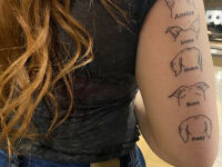 Check-Out-These-Cool-40-Animal-Tattoo-Ideas-To-Get-On-The-Trend-7