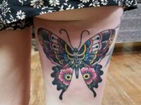 Colorful-Butterfly