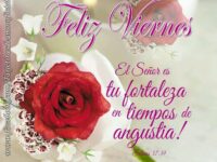 FELIZVIERNES7