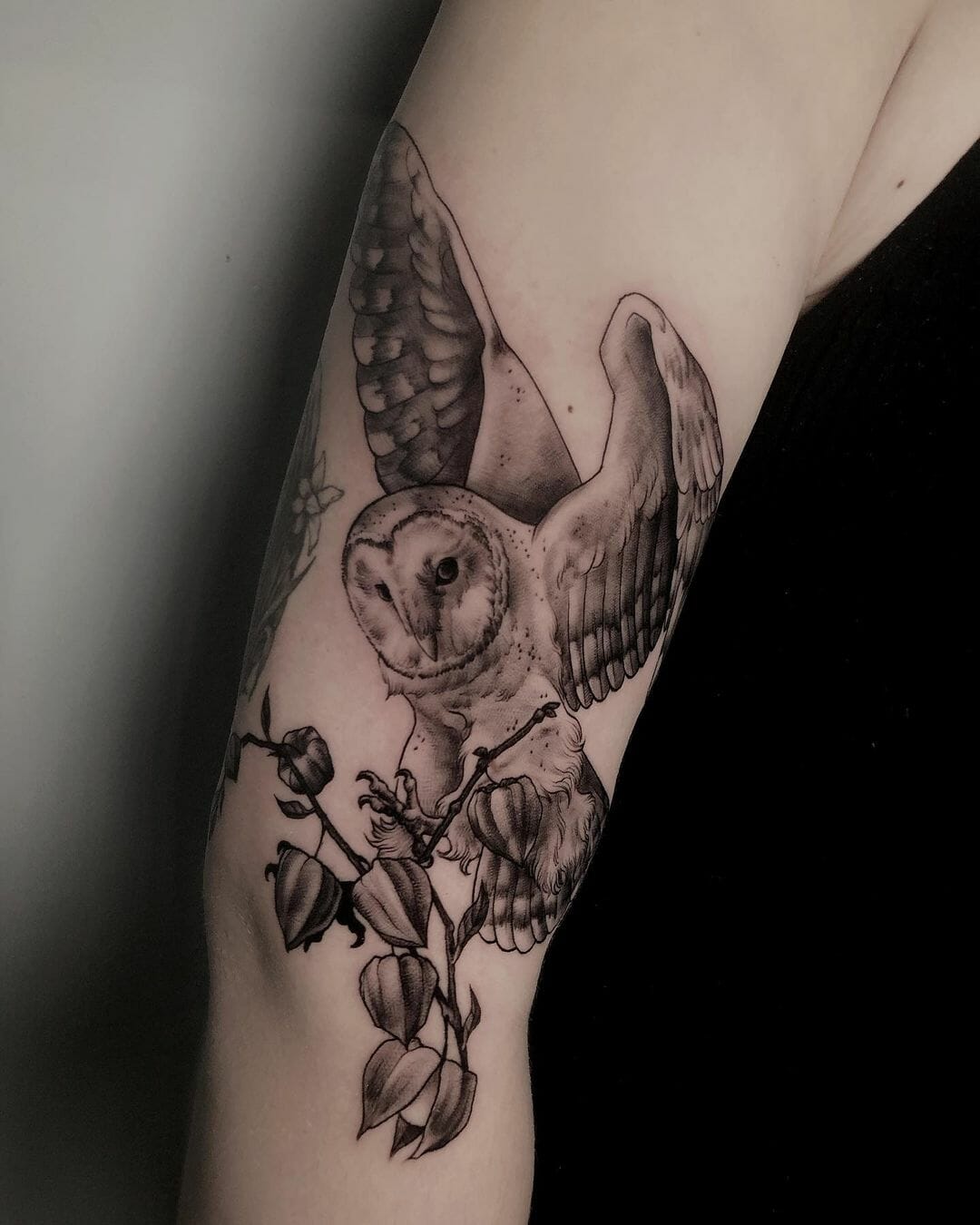 Intricate Barn Owl Portrait