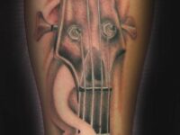 Img143125_bass