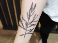 Large-Branch-Tattoo