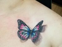 Realistic-3D-Butterfly-Tattoo-stephtattoos99