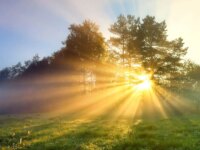 Sun-Day-
