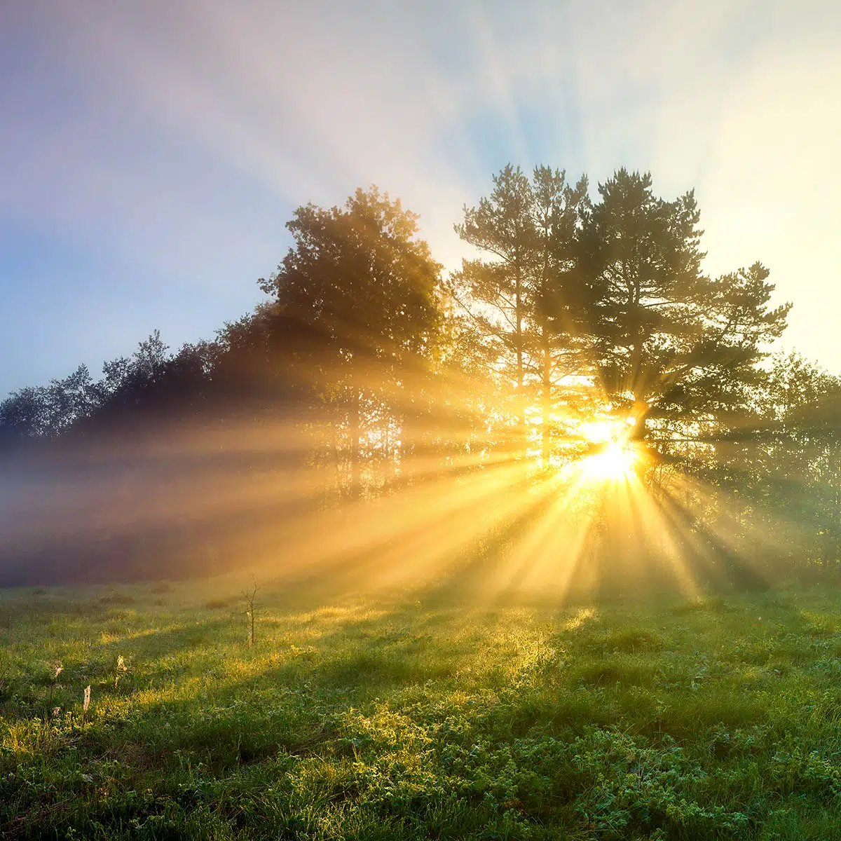SUN DAY - National Today