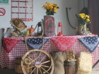 Western-Decor-4
