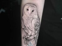 White-Grey-Barn-Owl-Tattoo