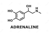 adrenaline-adrenalin-epinephrine-structure-epinephrine-neurotransmitter-adrenaline-molecule-isolated-thin-line-chemical-255014426