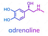 adrenaline-chemical-formula-adrenaline-chemical-formula-white-background-154588851