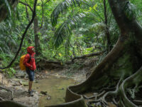 adventure-travel_TOP