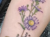 aster-tattoo-014