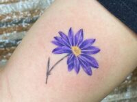 aster-tattoo-023