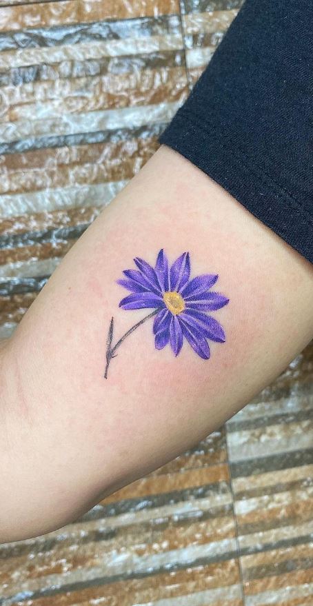 Aster Tattoo Design 2