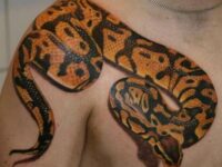 ball-python-tattoo-chest