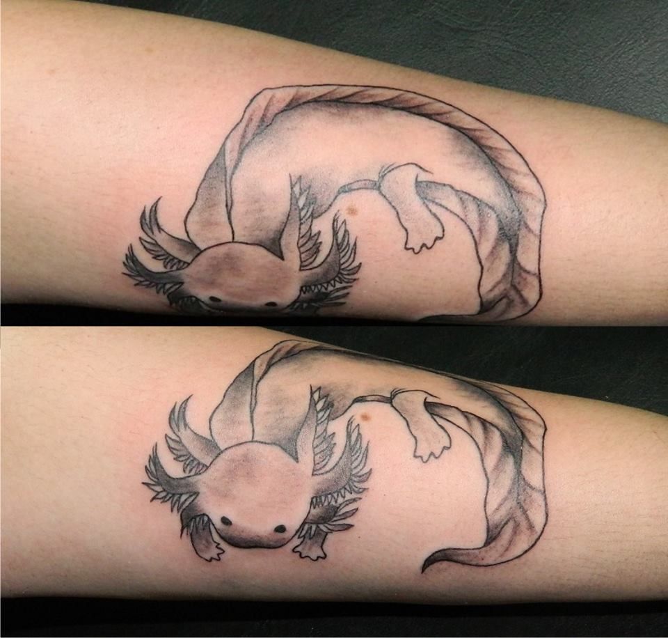 Axolotl Ouroboros Tattoo