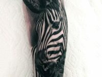 black-and-white-ink-male-zebra-animal-tattoo-sleeve-on-lower-forearm