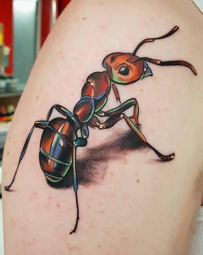 Ant Tattoo Idea 5