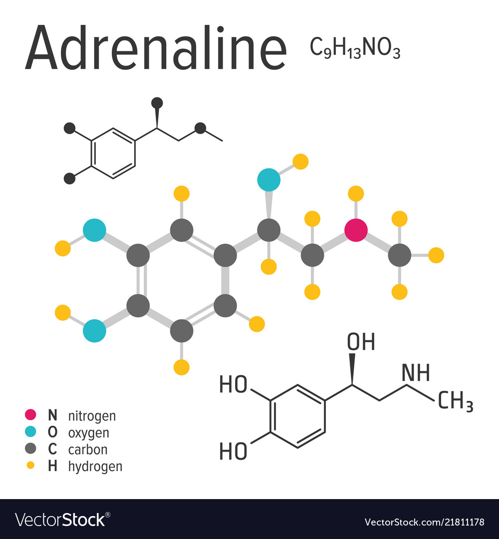 Chemical formula of the adrenaline molecule Vector Image