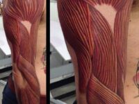 detailed-mens-anatomical-tattoo-design-ideas