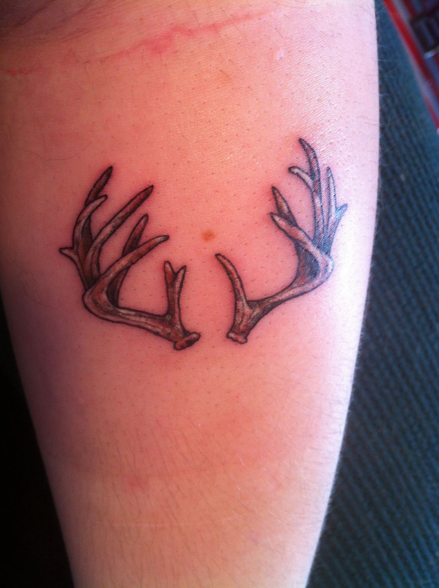 Personal Antler Tattoo