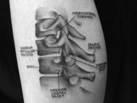excellent-guys-anatomical-tattoos
