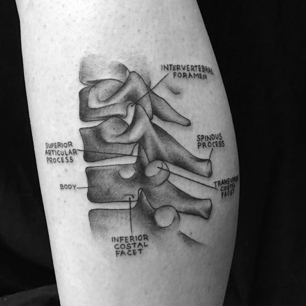 Excellent Guys Anatomical Tattoos