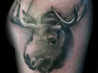 realistic-moose-head-mens-upper-arm-tattoo-shaded-ink