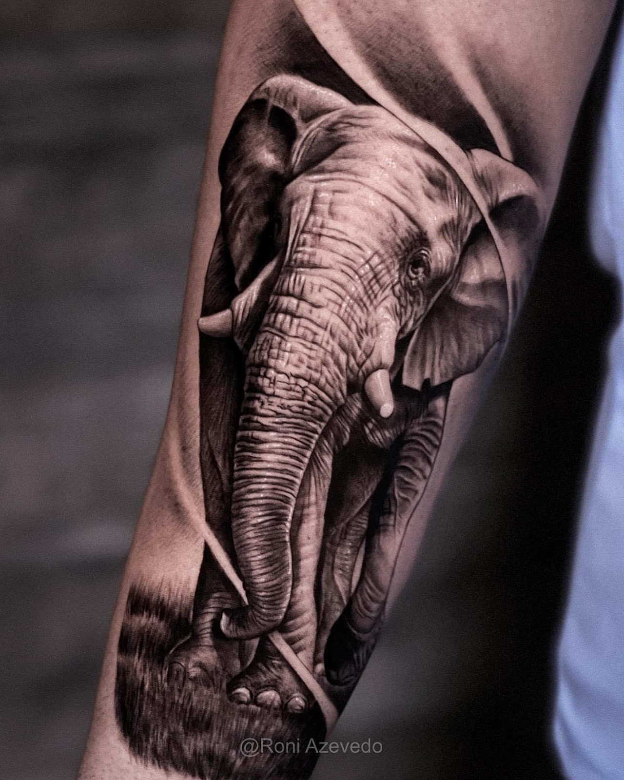 Wildlife Tattoos For Men
