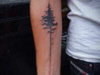 scar-tattoo04